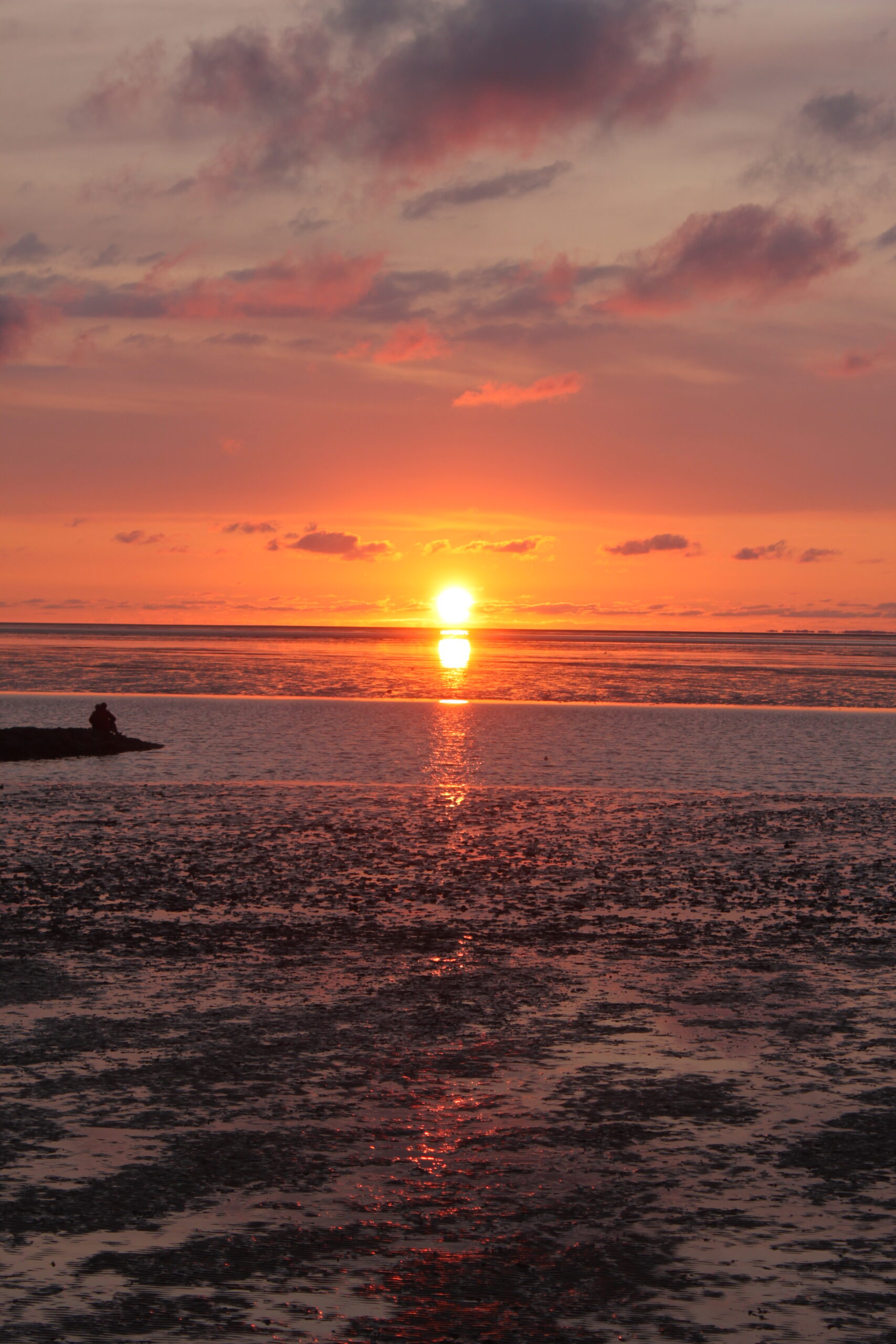 Nordsee 2019